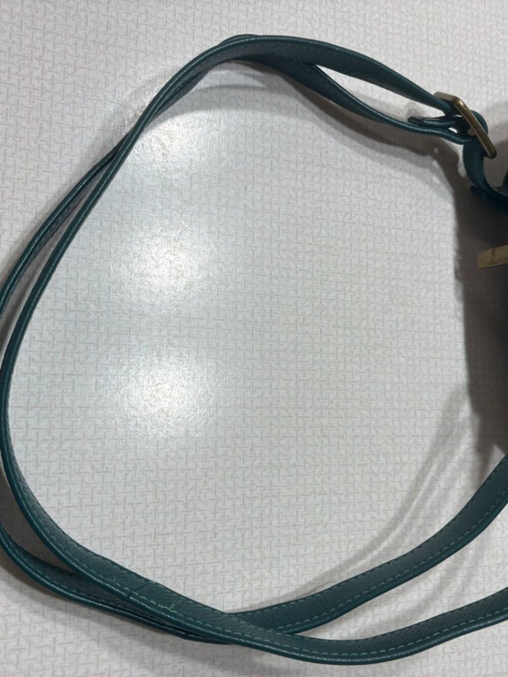 NWOT Butterfly Paradise ANNA for ANUSCHKA Crossbody/ Shoulder Bag - Picture 8 of 12